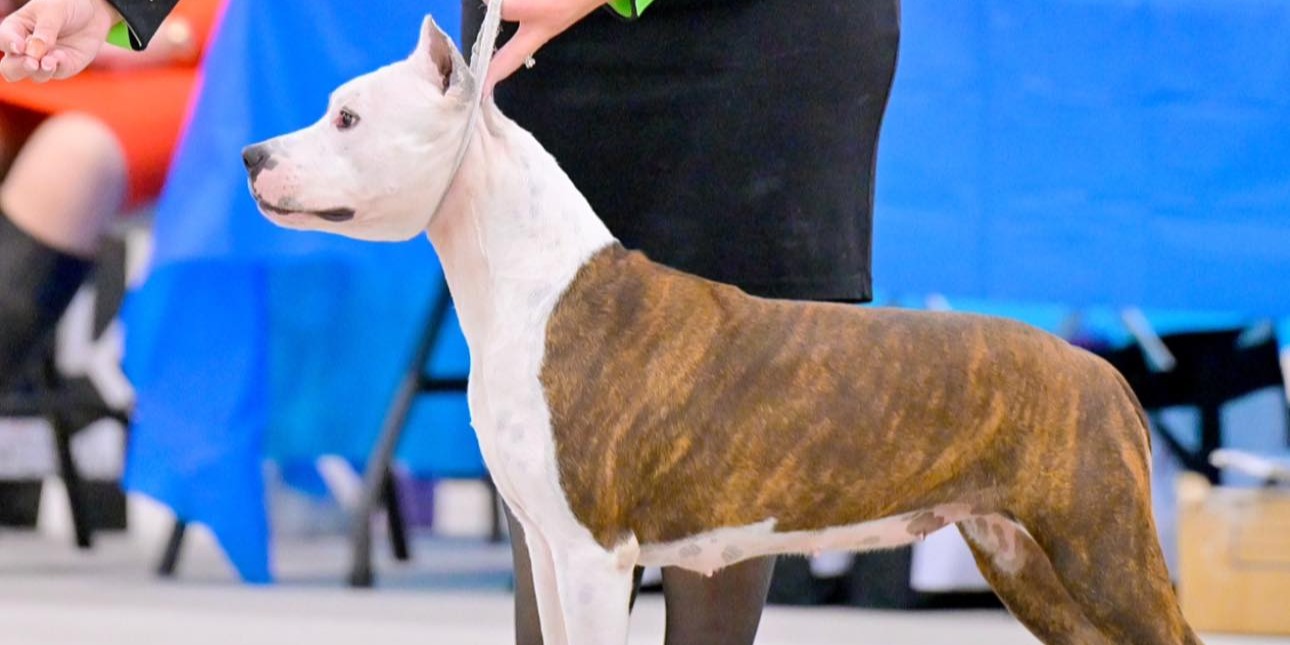 LBK's Rebel and Proud April Showers of Buckeye