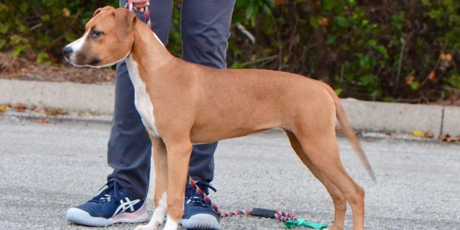 LBK's Georgia on My Mind II