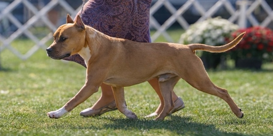 LBK’s I’m Strong to the Finish