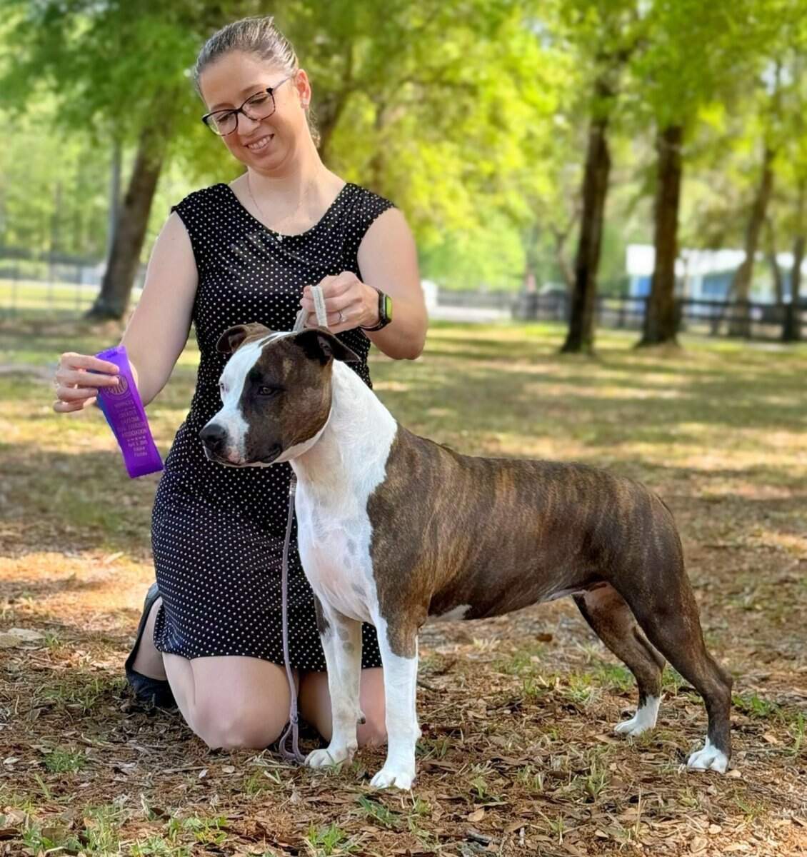 Mary - Hickory Junior Rocket Girl CH Hickory Junior Rocket Girl  - Female American Staffordshire Terrier photo 2 from LBK AmStaffs