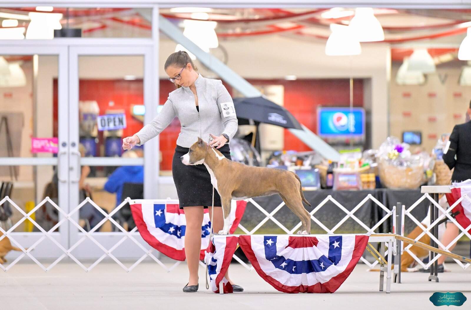 CH LBK'S Took Another Angel Home  - Female American Staffordshire Terrier photo 4 from LBK AmStaffs