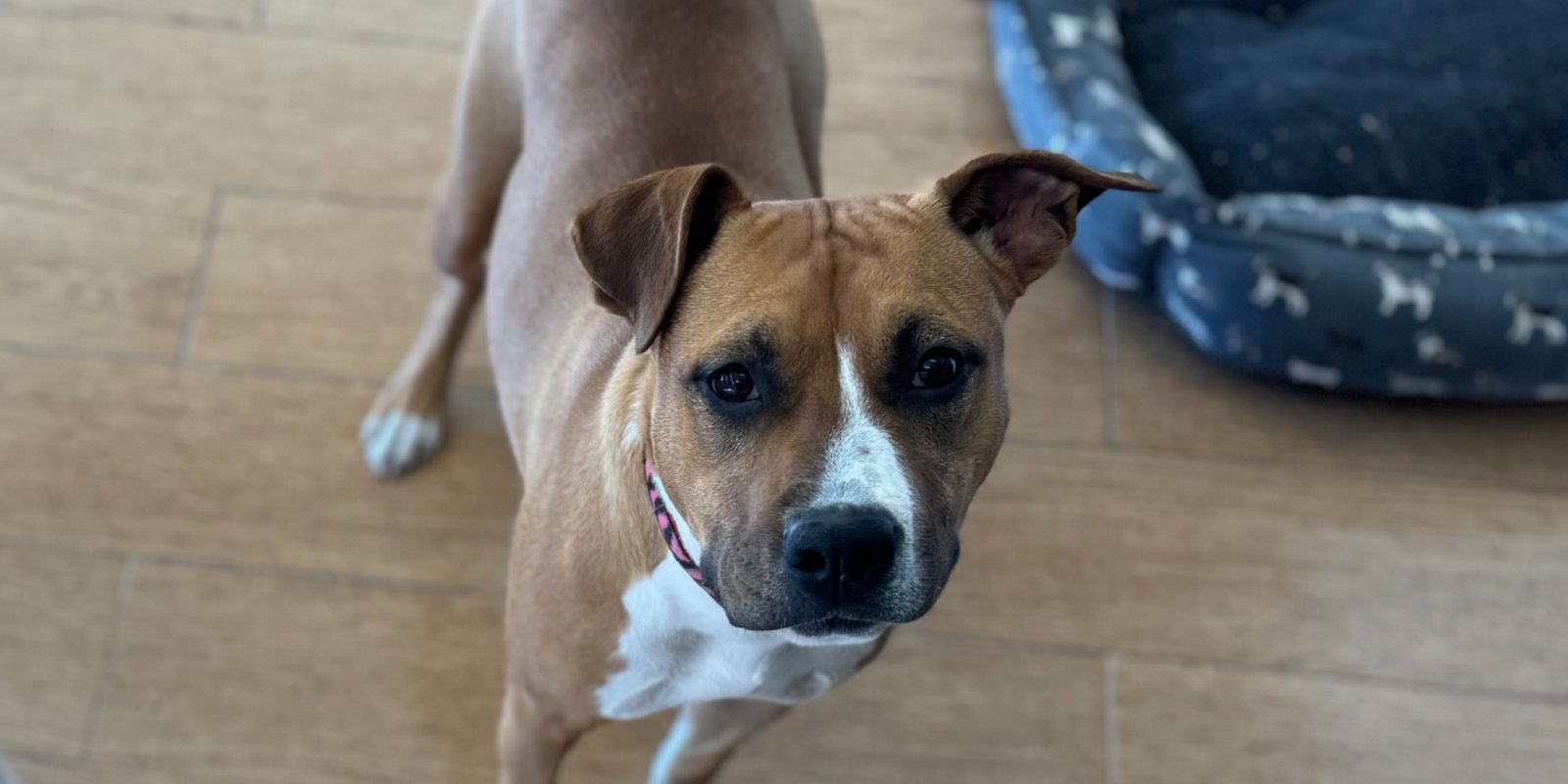 LBK's Georgia on My Mind II