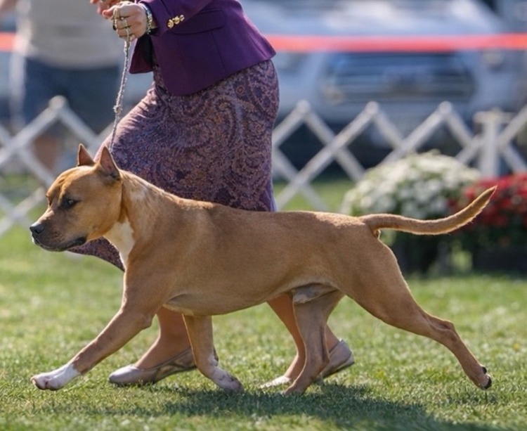 LBK’s I’m Strong to the Finish