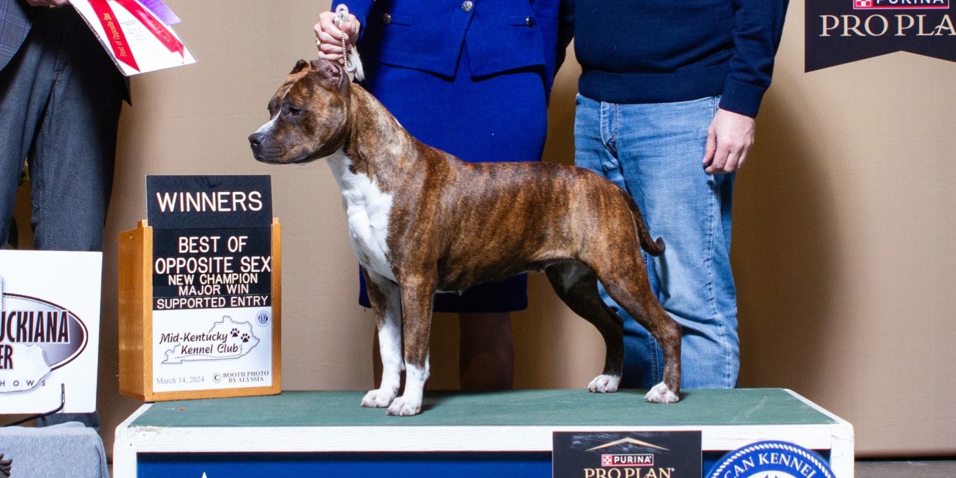 LBK's Rebel and Proud 2 Good 2 Share