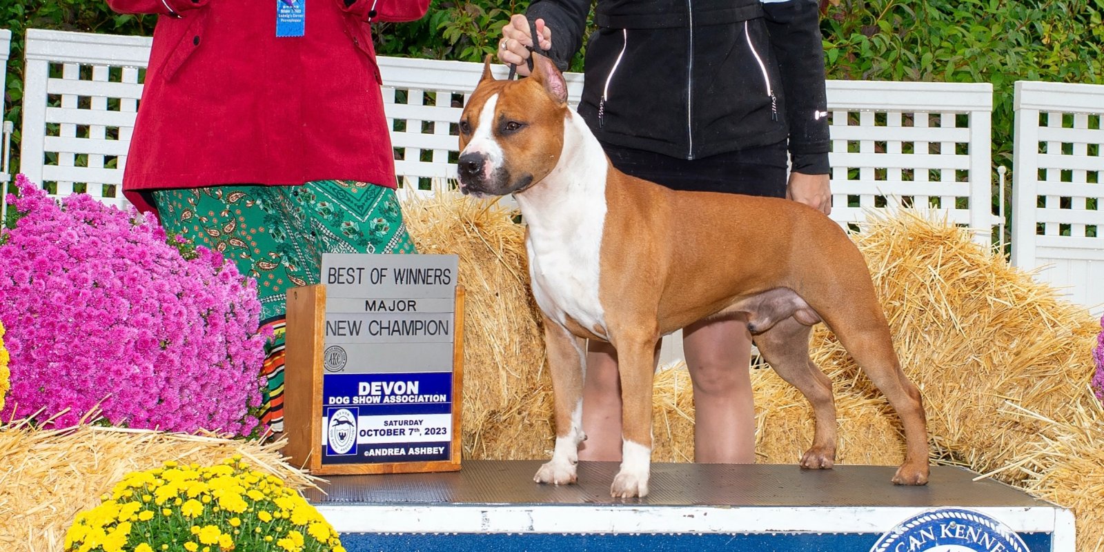 LBK's Rebel and Proud Hawkeye