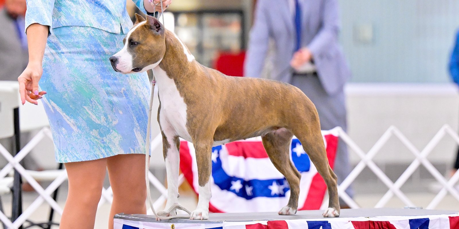 LBK'S Took Another Angel Home