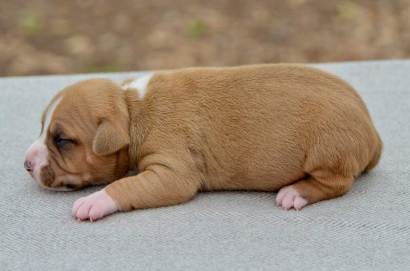 2 weeks