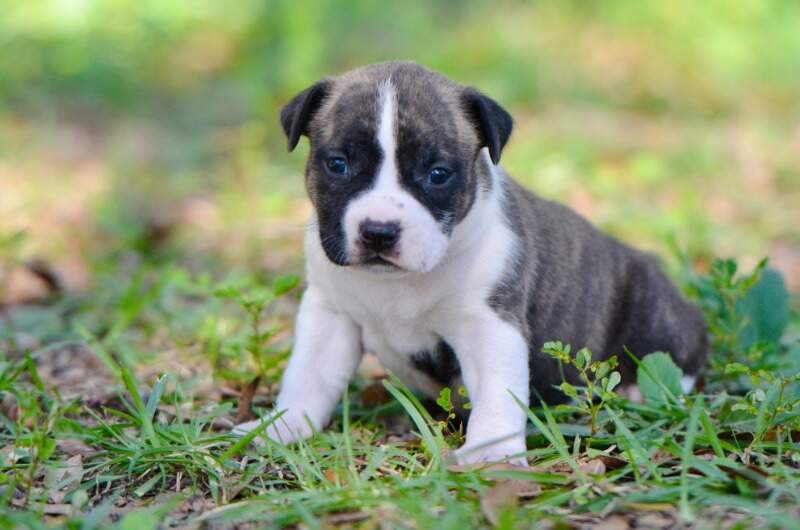 3 weeks