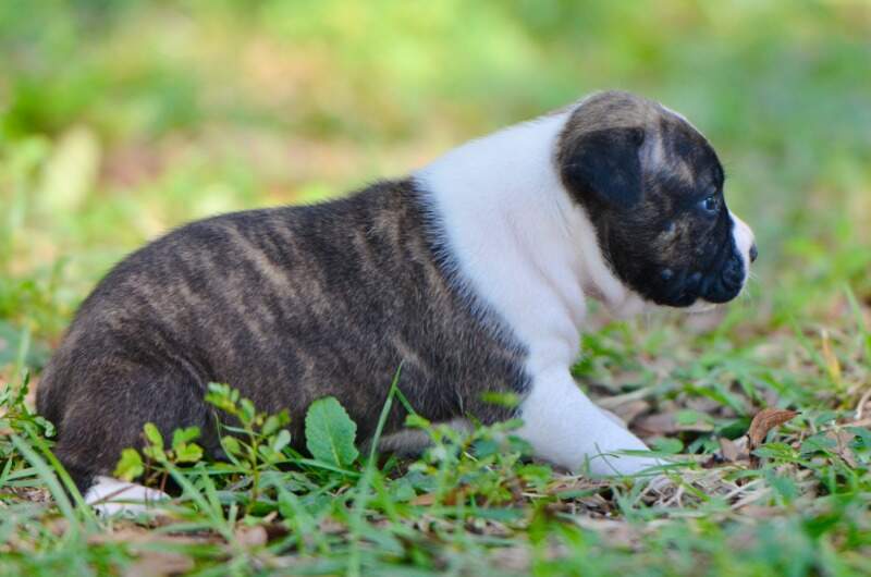 3 weeks