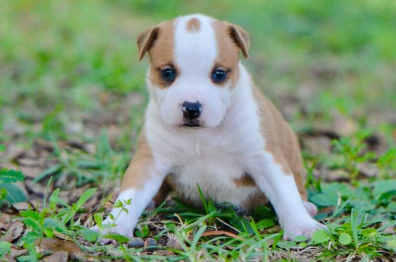 3 weeks