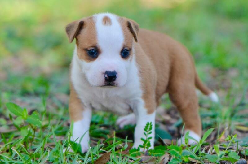 3 weeks