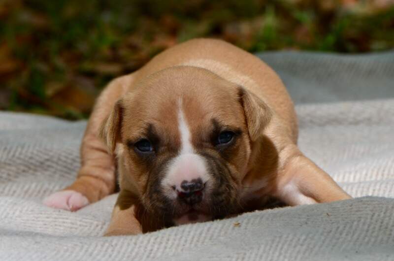 3 weeks