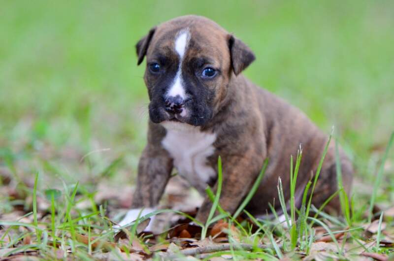 3 weeks
