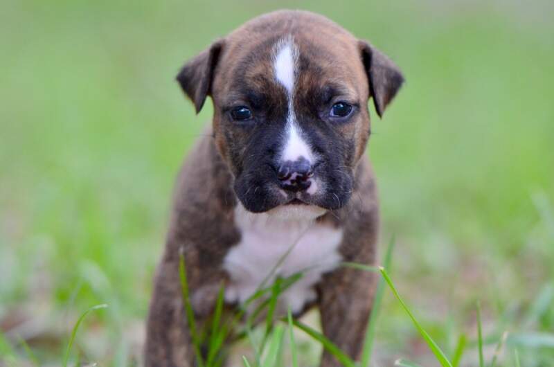 3 weeks