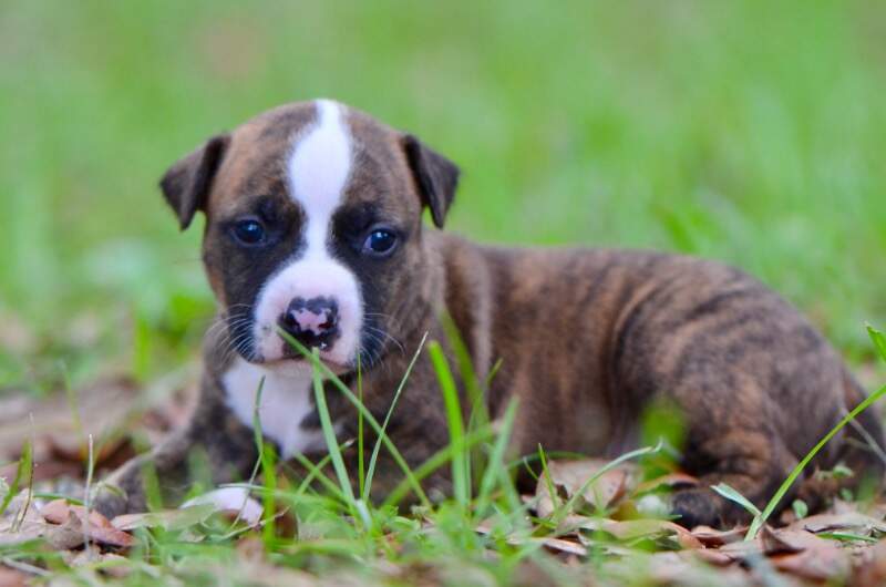 3 weeks
