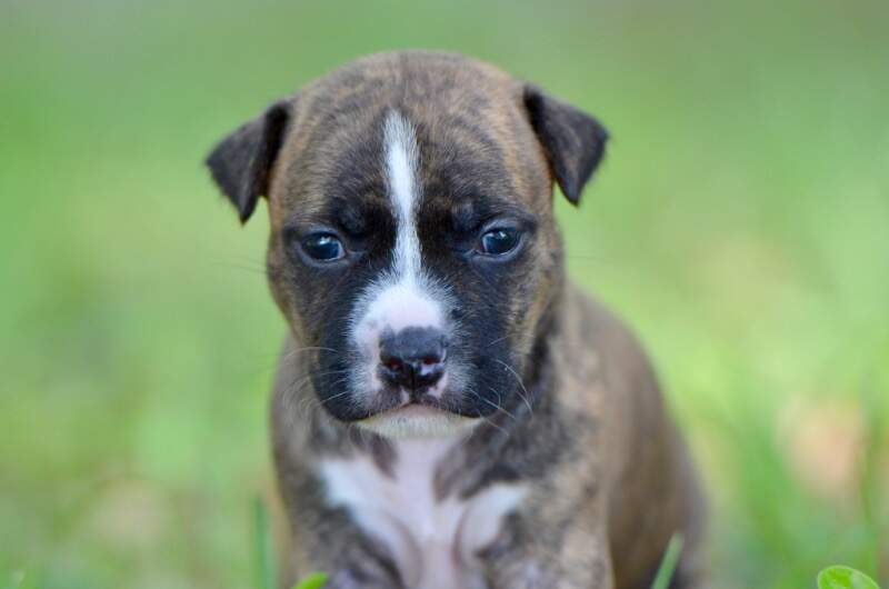 3 weeks