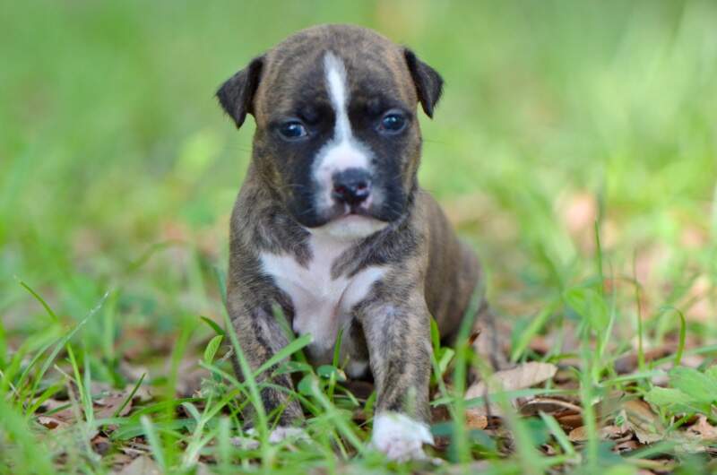 3 weeks
