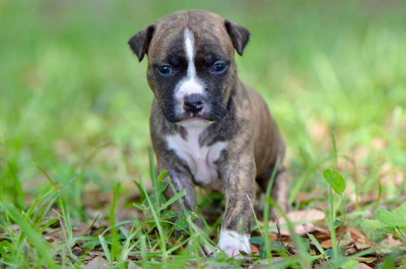 3 weeks