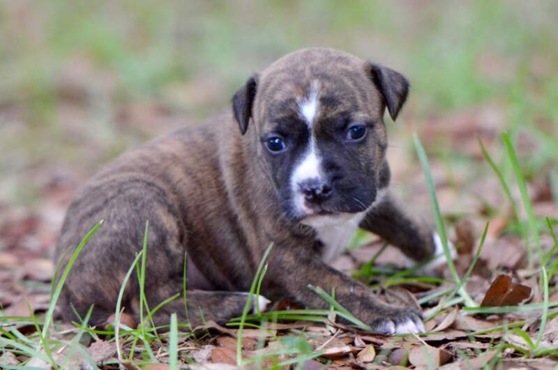 3 weeks