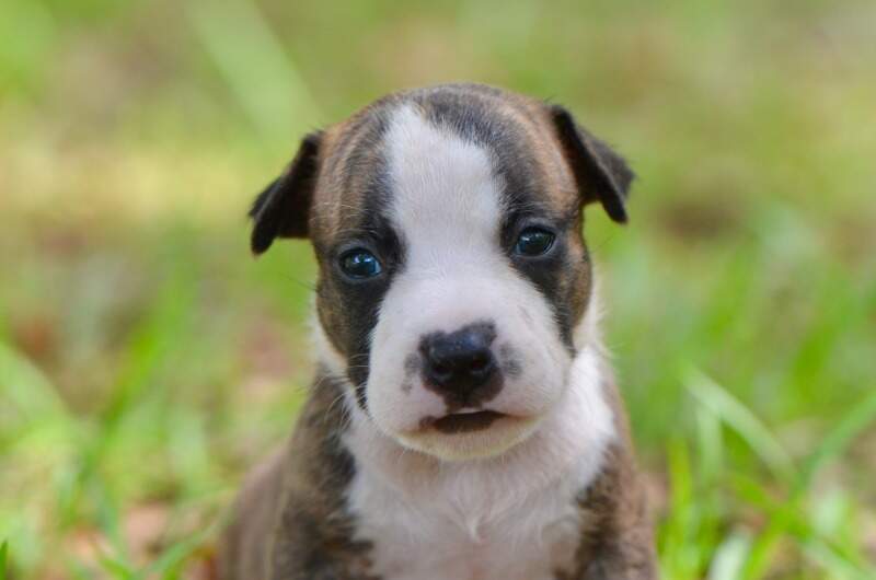 3 weeks
