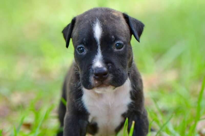 3 weeks