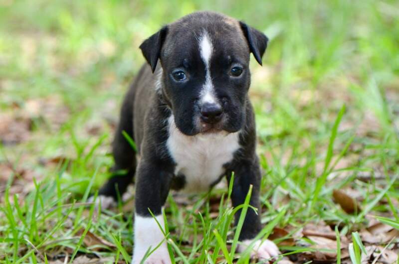 3 weeks