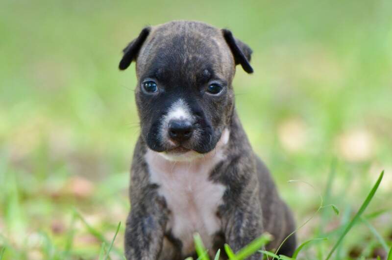 3 weeks