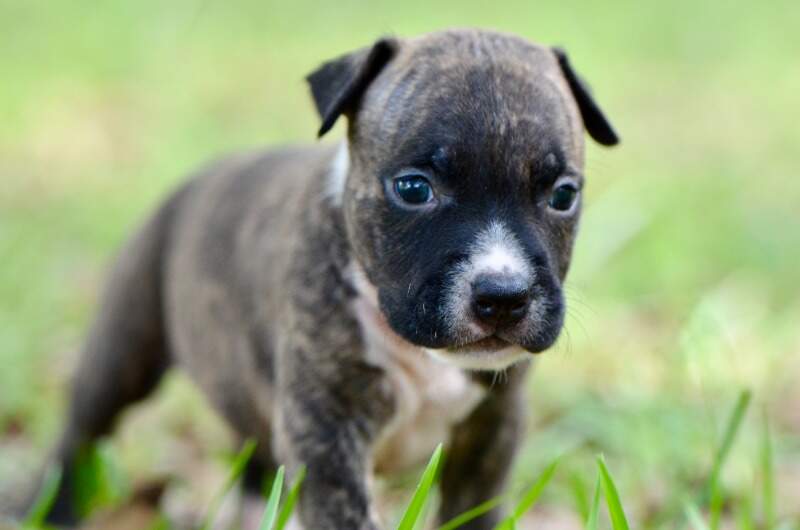 3 weeks