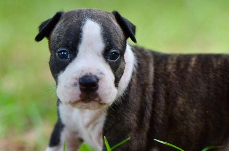 3 weeks
