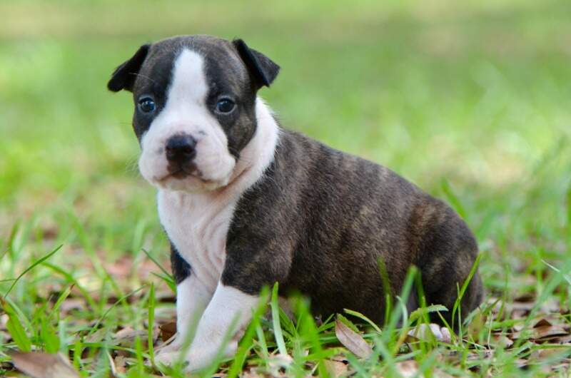 3 weeks