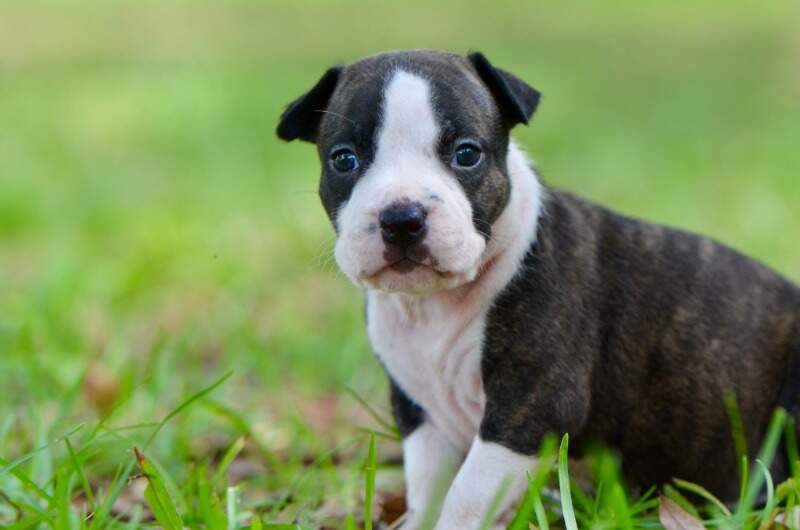 3 weeks