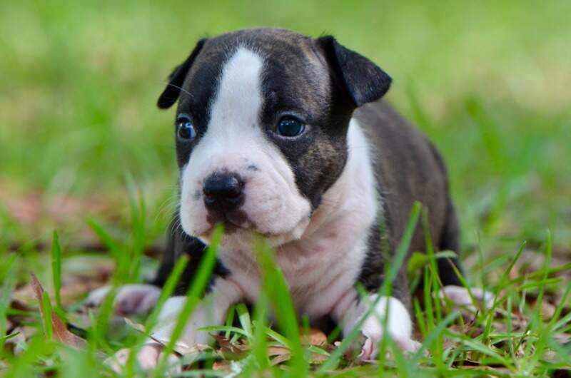 3 weeks