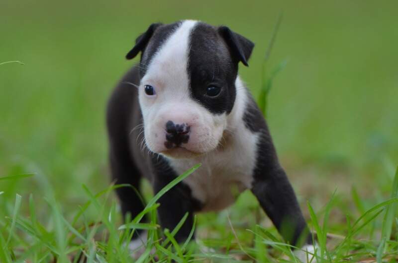 3 weeks