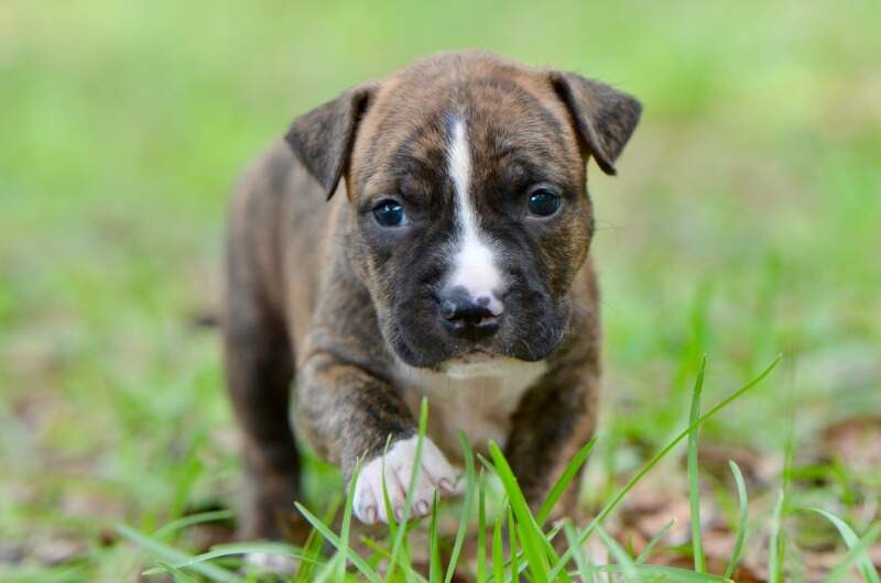 3 weeks