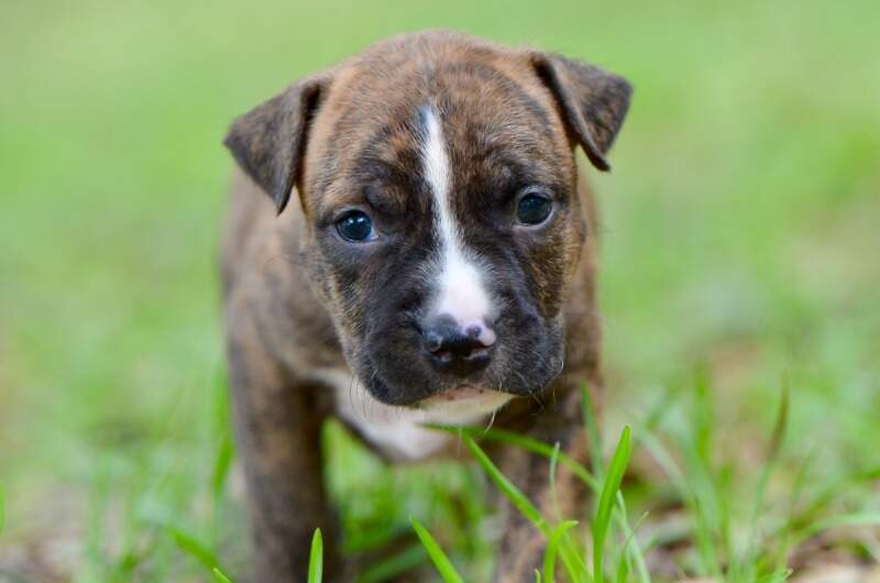 3 weeks