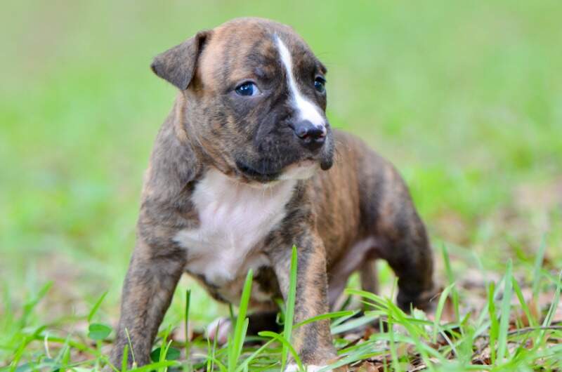 3 weeks
