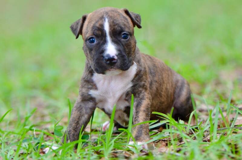 3 weeks
