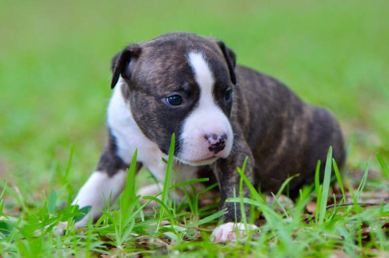 3 weeks