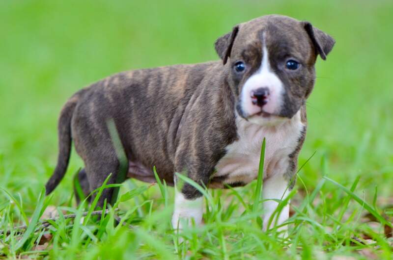 3 weeks