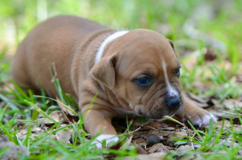 3 weeks