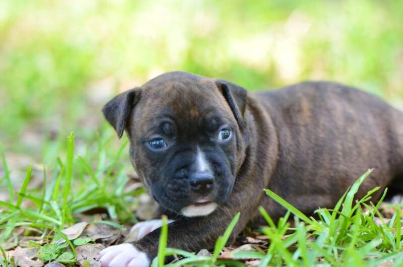 3 weeks