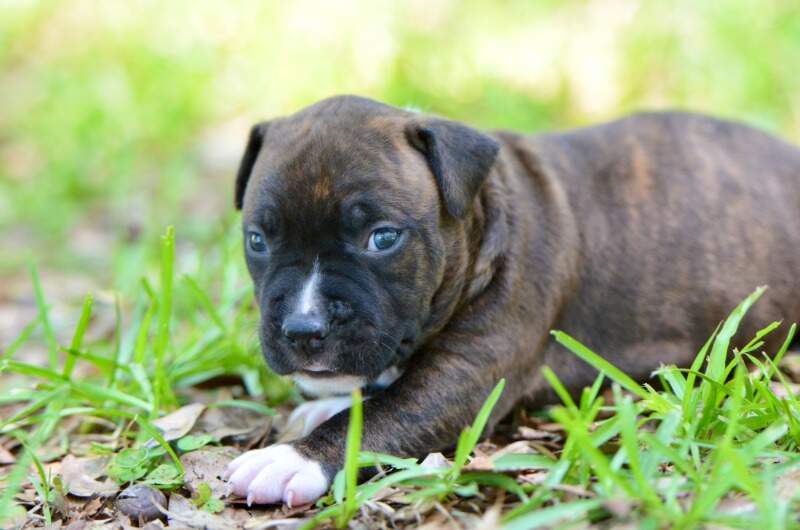 3 weeks