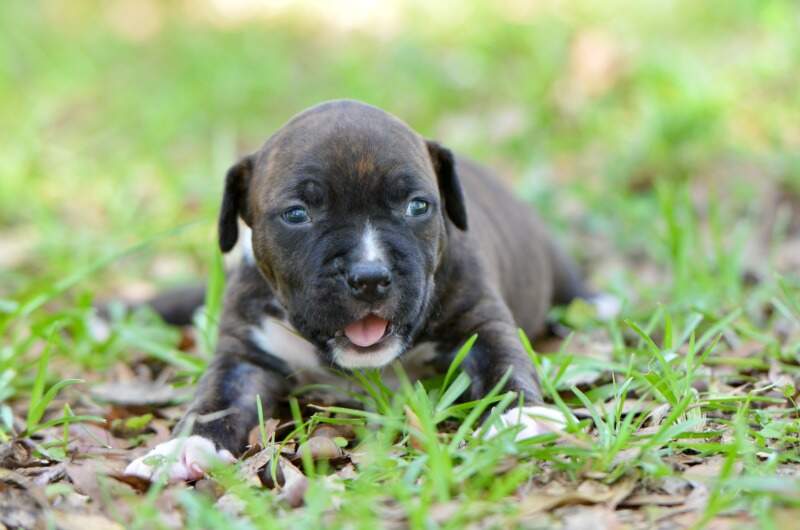 3 weeks