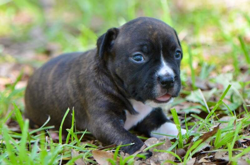 3 weeks