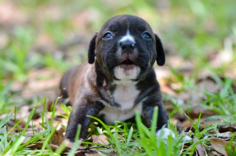 3 weeks