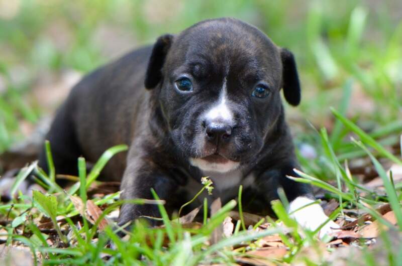 3 weeks