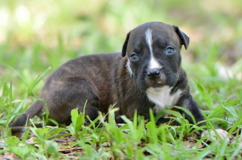 3 weeks
