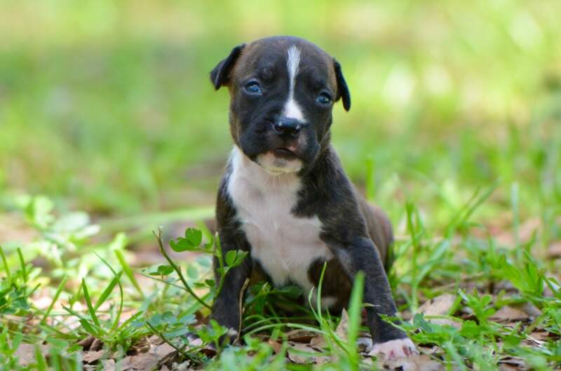 3 weeks