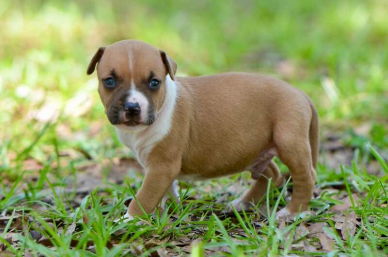 3 weeks