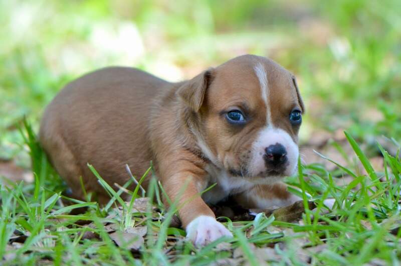 3 weeks